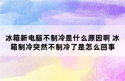 冰箱新电脑不制冷是什么原因啊 冰箱制冷突然不制冷了是怎么回事